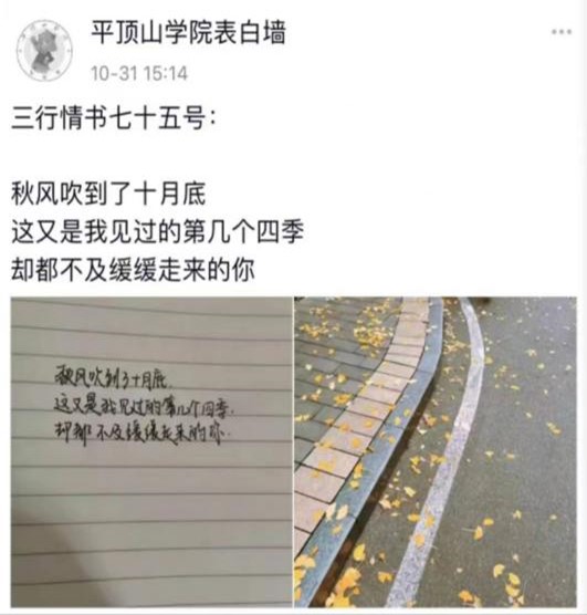 威廉希尔WilliamHill官方网站